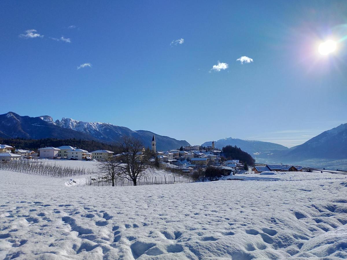 Appartamento Toma Mihaela Tres エクステリア 写真